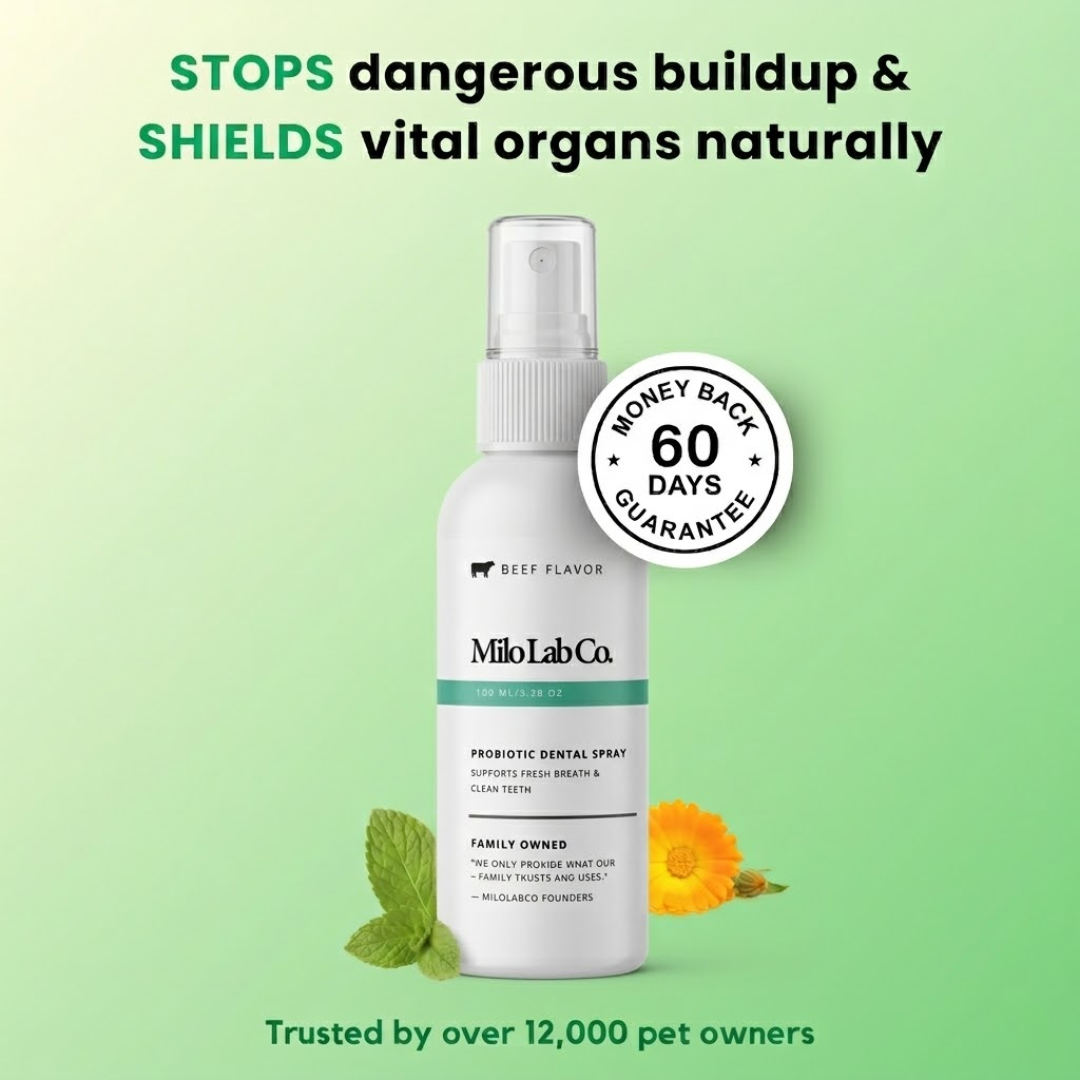 Milolabco™ Advanced Dental Spray