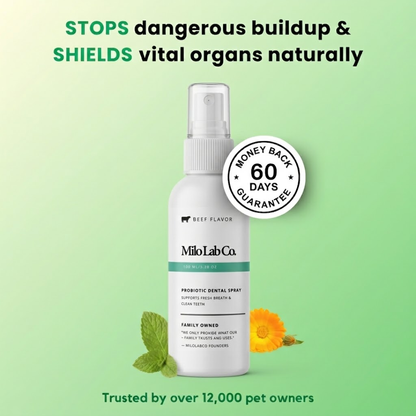 Milolabco™ Advanced Dental Spray