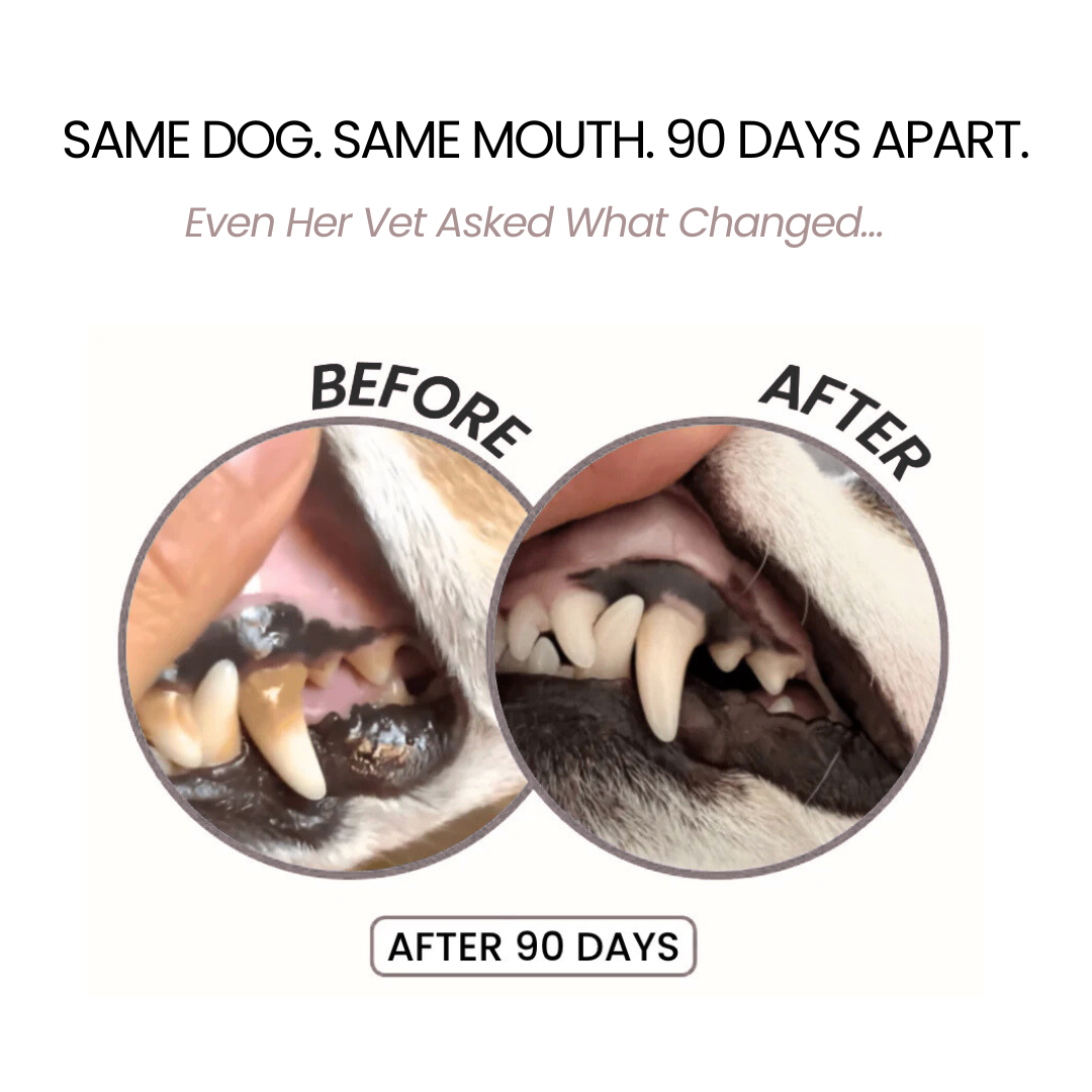 Milolabco™ Advanced Dental Spray