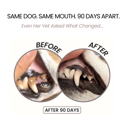 Milolabco™ Advanced Dental Spray