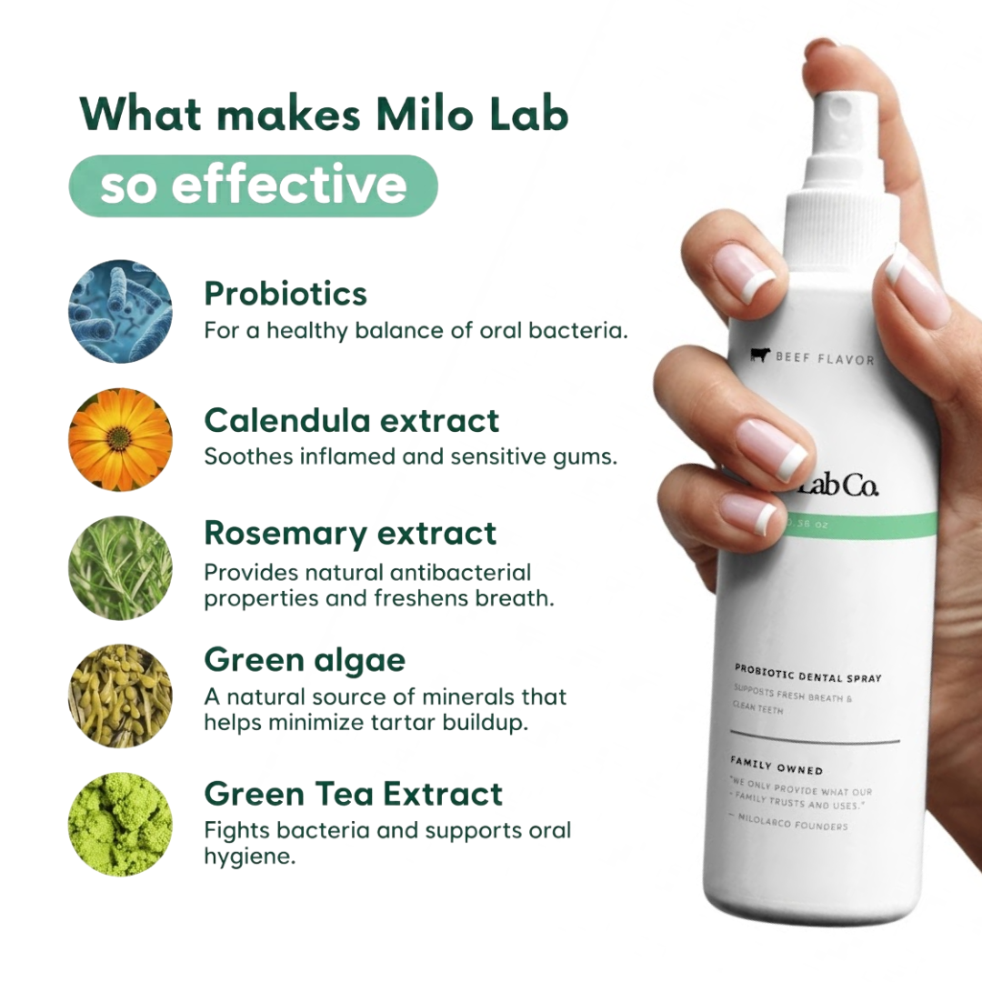 Milolabco™ Advanced Dental Spray
