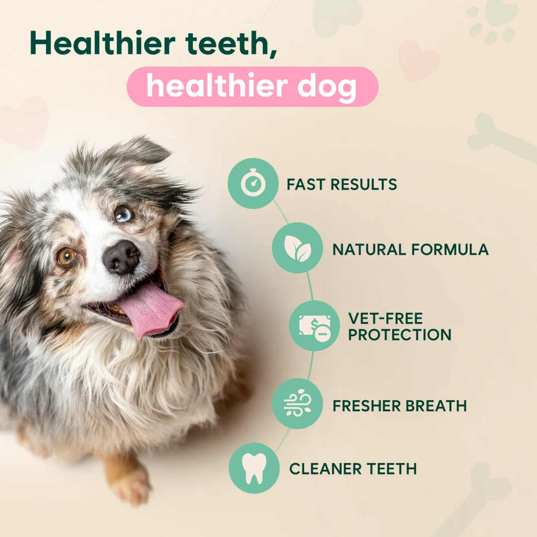 Milolabco™ Advanced Dental Spray