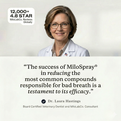 Milolabco™ Advanced Dental Spray