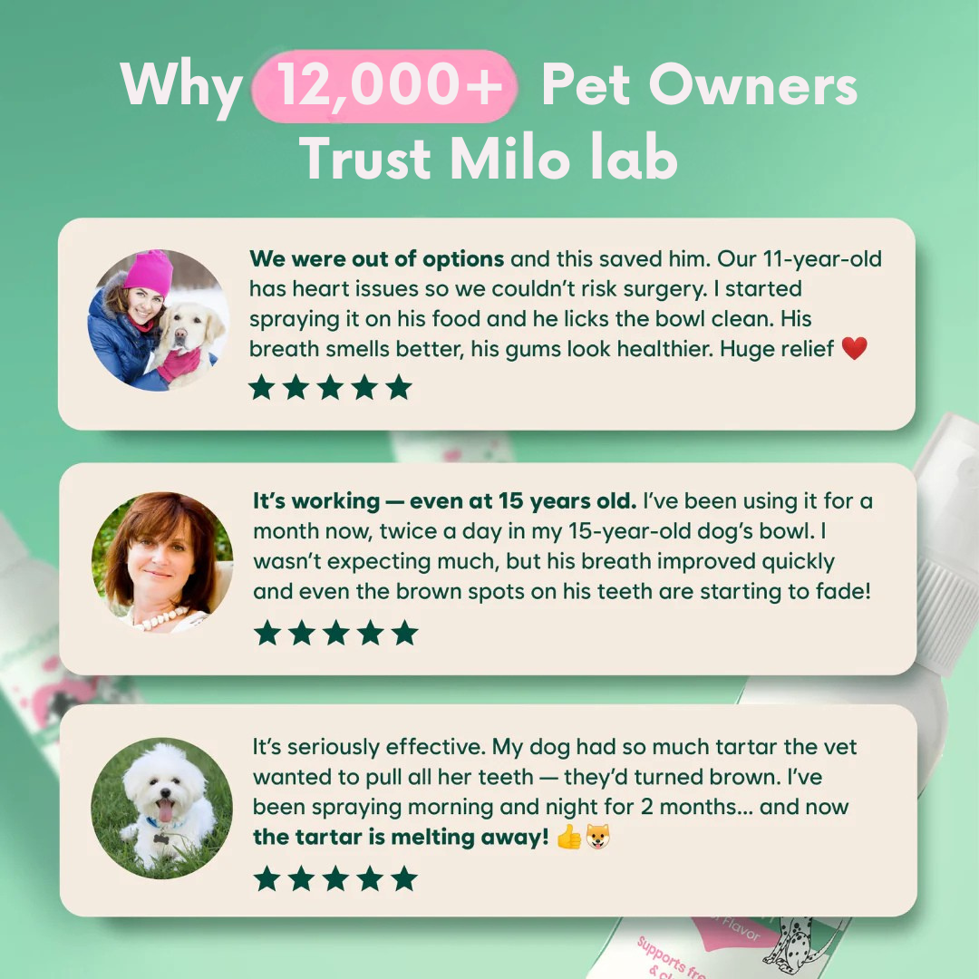 Milolabco™ Advanced Dental Spray