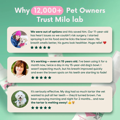 Milolabco™ Advanced Dental Spray