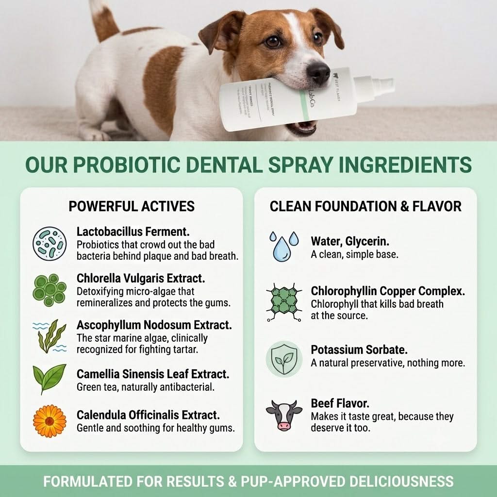 Milolabco™ Advanced Dental Spray